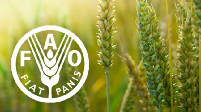 logo FAO